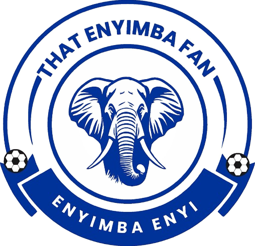 That Enyimba Fan Logo