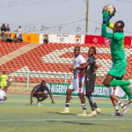 A Case for Ani Ozoemena