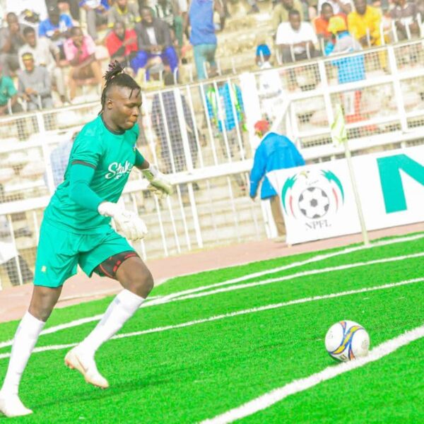 Pre-Season underway as Goal-Keeper Zalli leaves